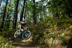 Mt. Spokane Mountain Bike Trails