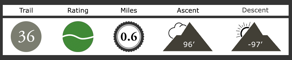 Bastard Son Mountain Bike Trail Description