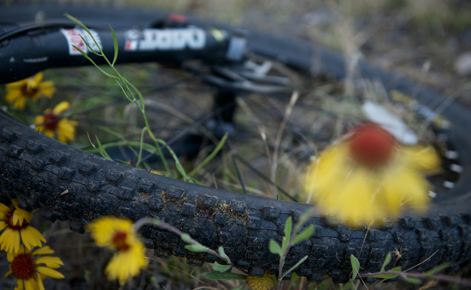 Biking at Riverside State Park