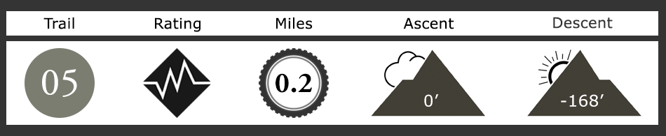 Sidewinder Mountain Bike Trail Description