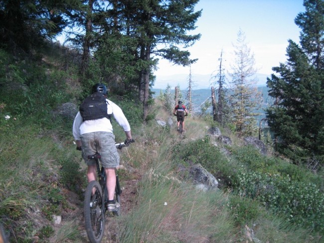 Heading down one of the many descents on Taylor Ridge