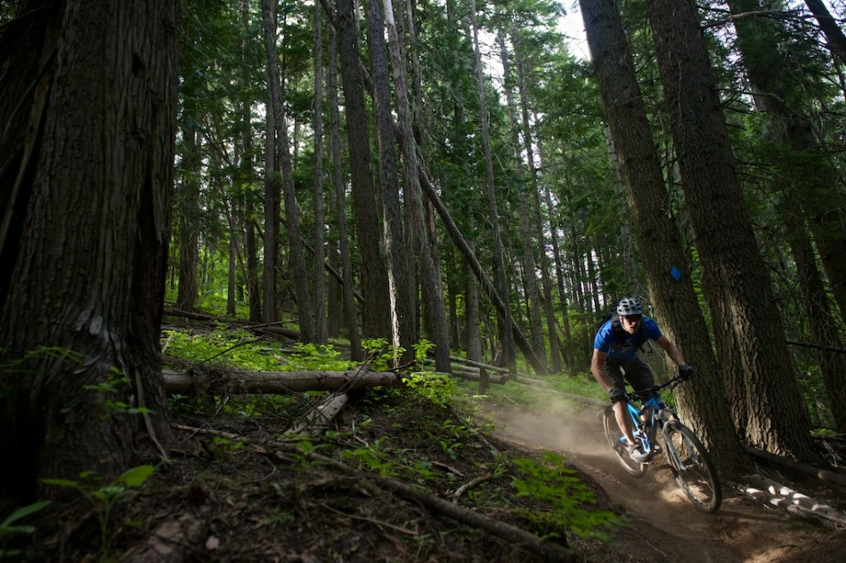 Biker Riding Down Mt. Spokane State Park