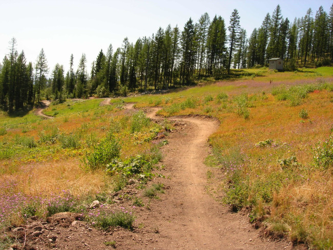 bg_image_trail1